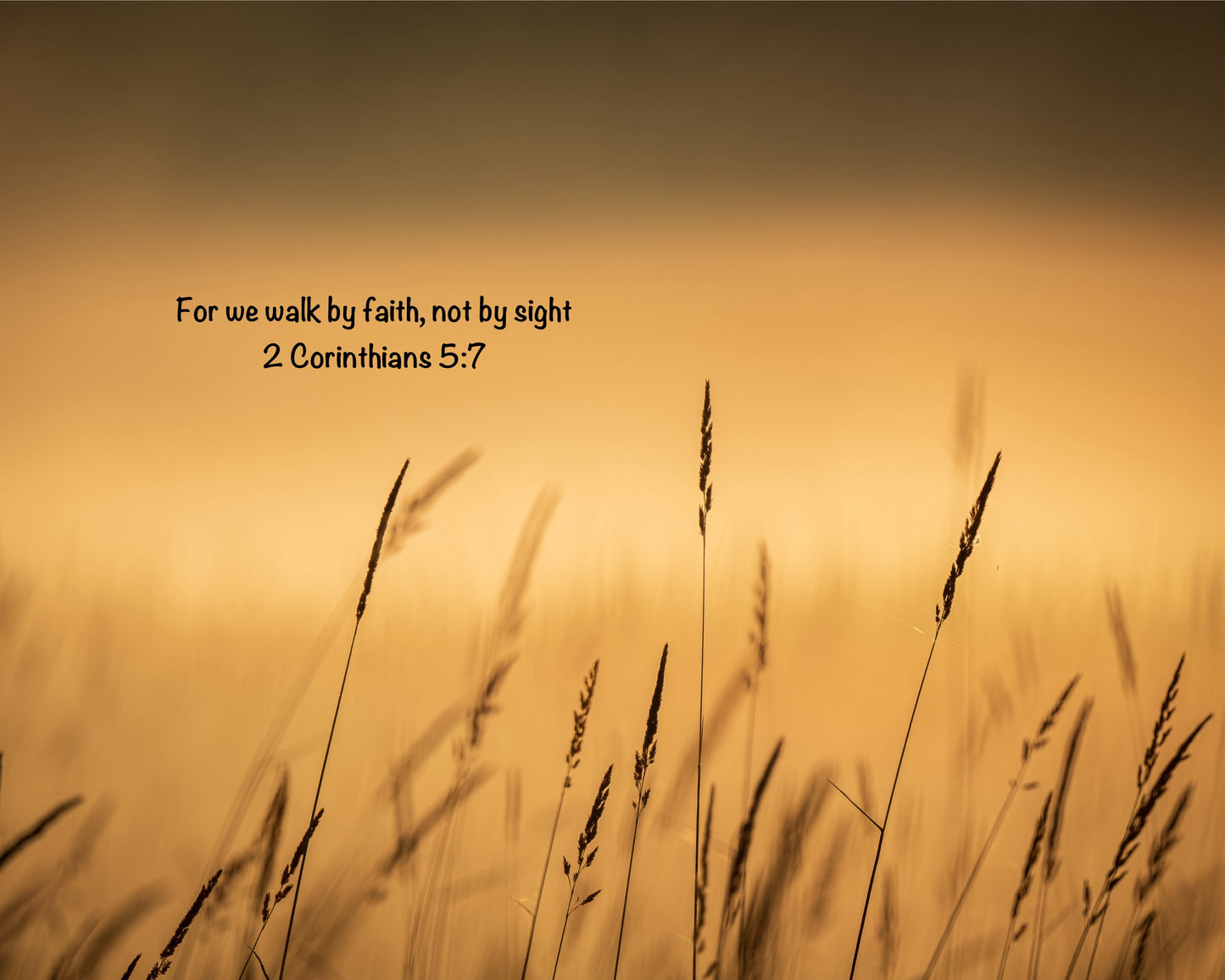 Free Scripture on Image Download
