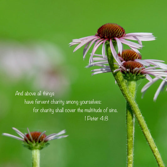 Free Scripture On Image Download