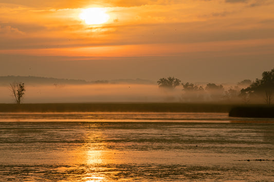 Birds Fly Over Misty Color Layers Premium