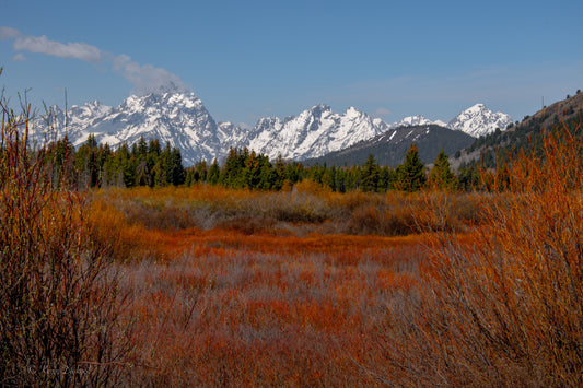 Mountain Teton Layers Orange