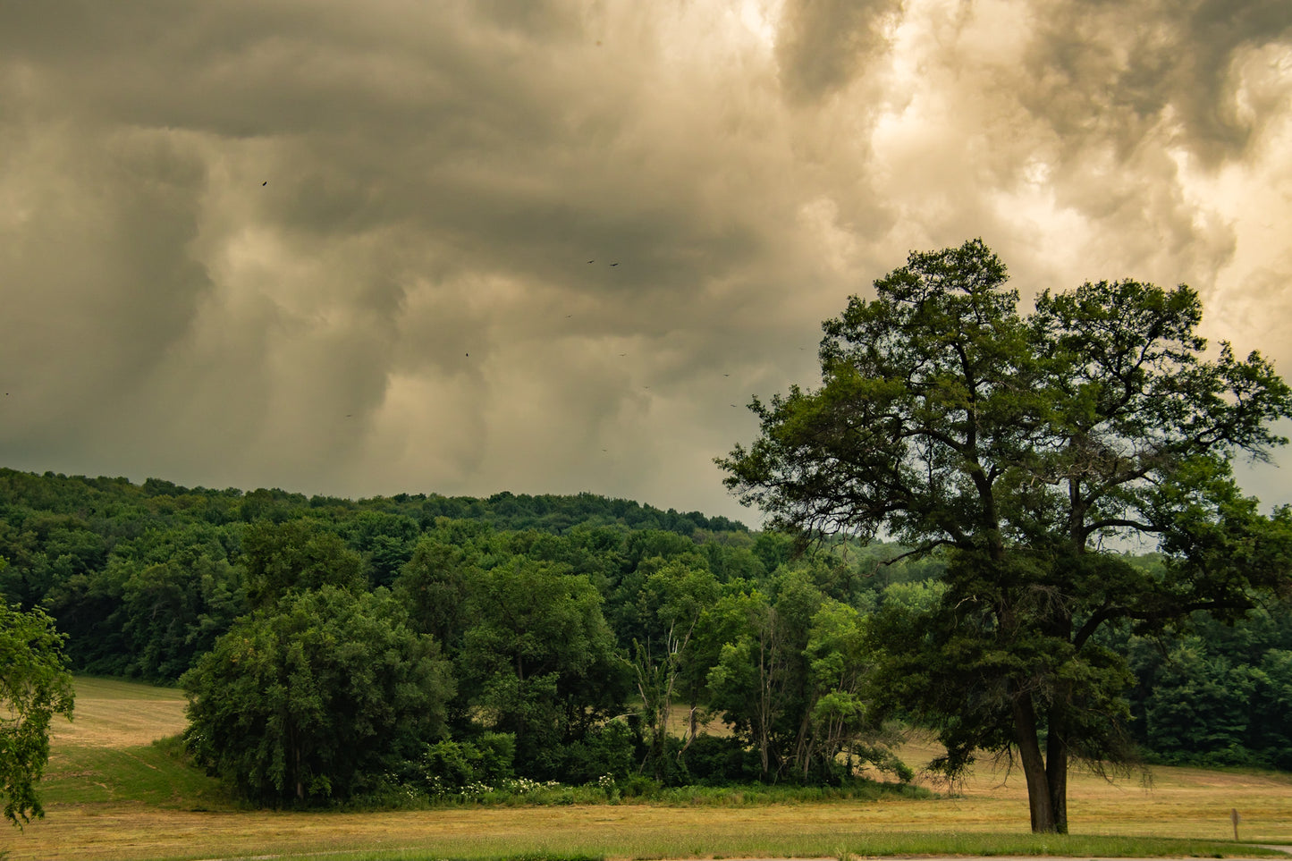 Storm Clouds