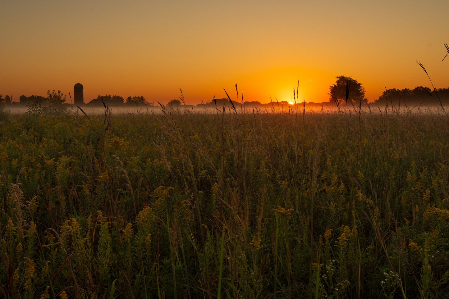 Farm Sunrise Green Meadow