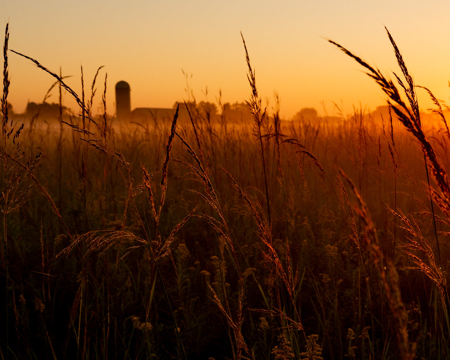 Farm Silhouette at Dawn