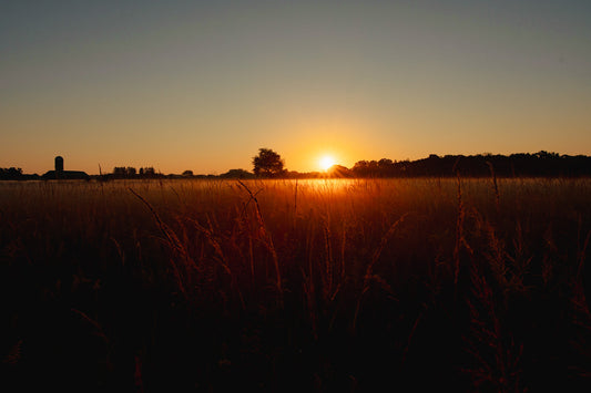 Farm Sunrise Centererd