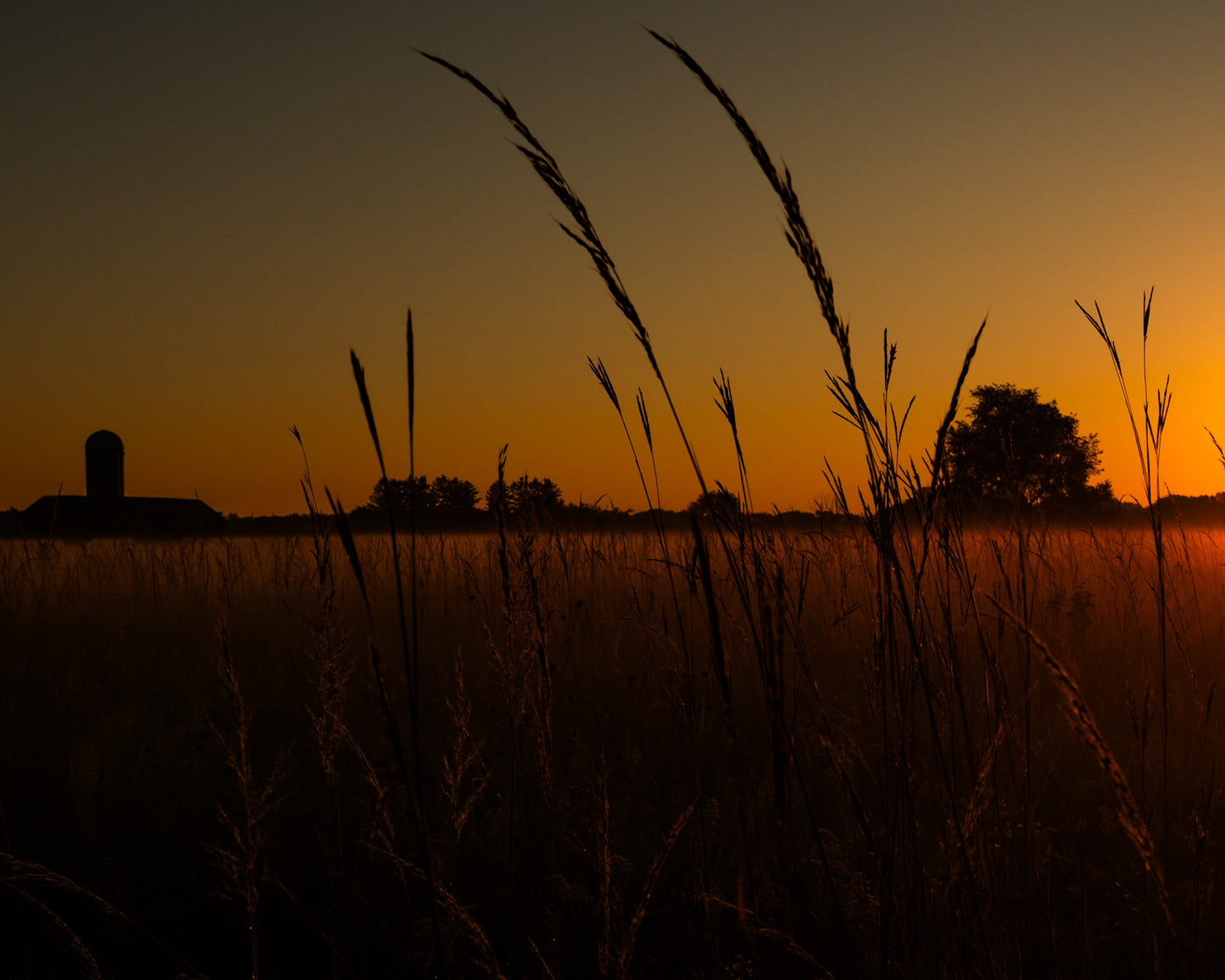 Farm Silhouette at Pre Dawn