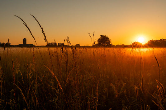 Sunrise on the Farm Select