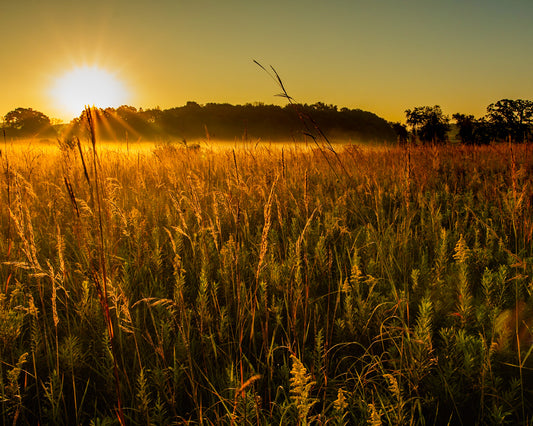 Summer Sunrise Mist Select