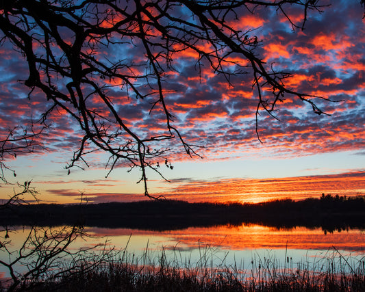 Sunset Gibbs Lake