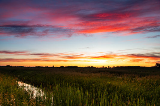 Faville Sanctuary Sunrise