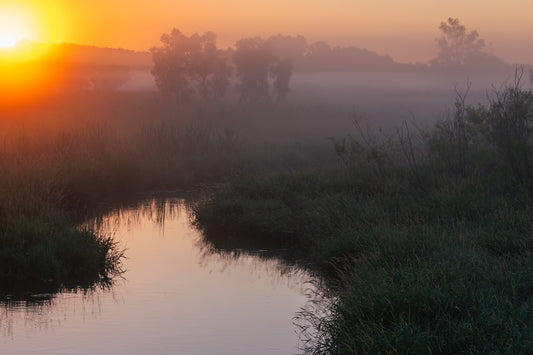 Misty Morning Creek