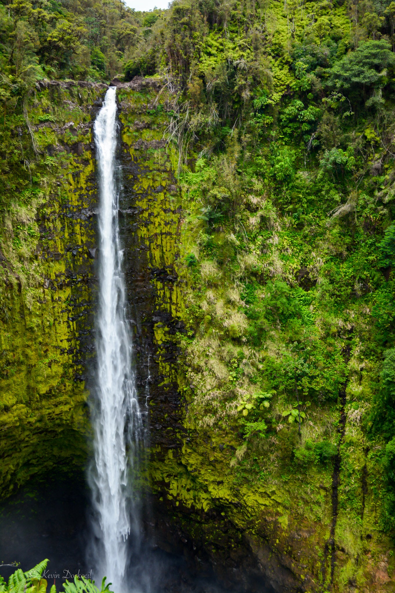 Hawaii Waterfall 2