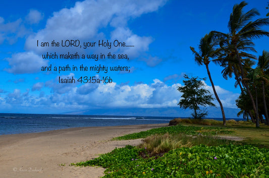 Beach scene with palm trees and a quote from Isaiah 43:15-16 on a blue sky background.