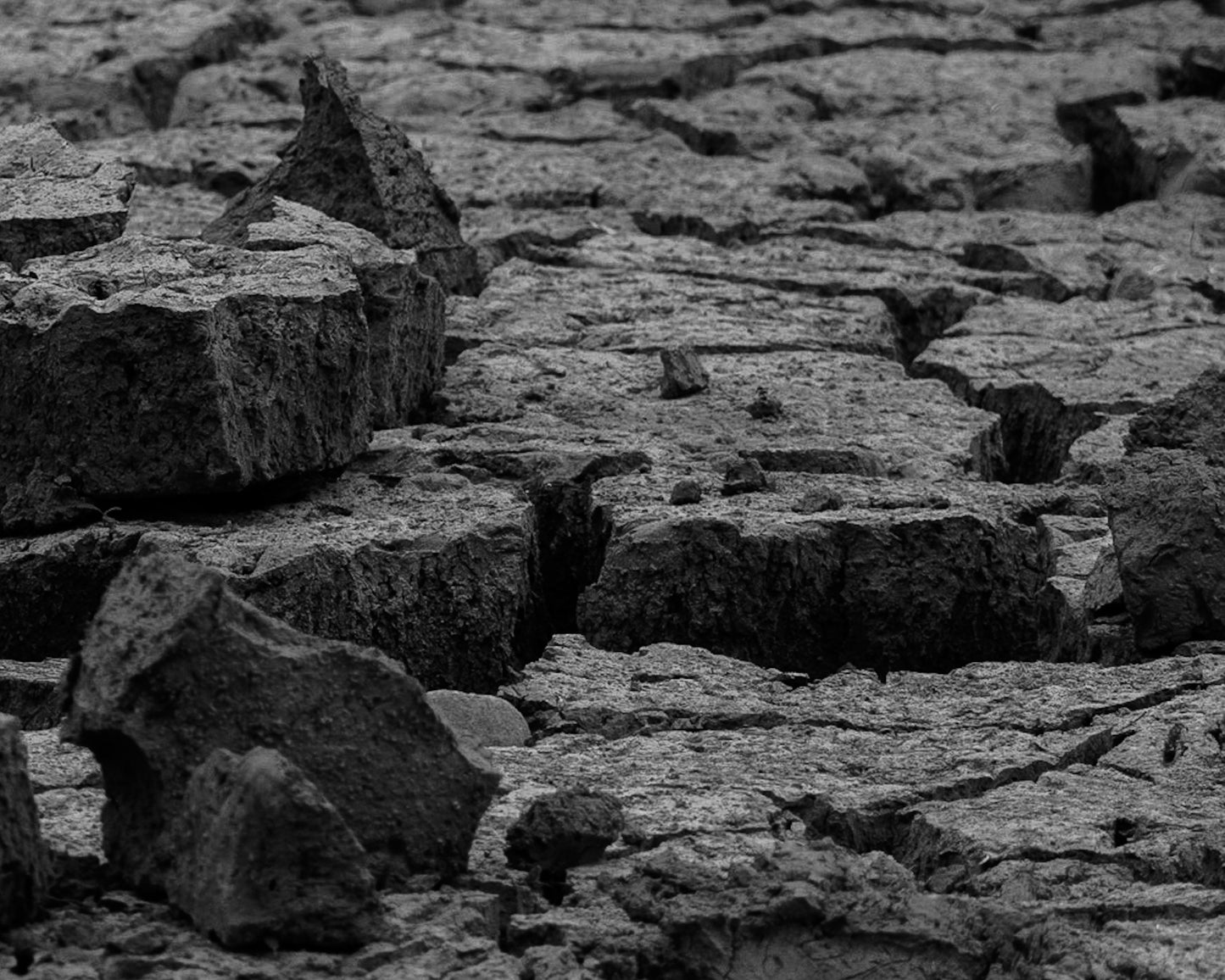 Drought Dried Lake Bed