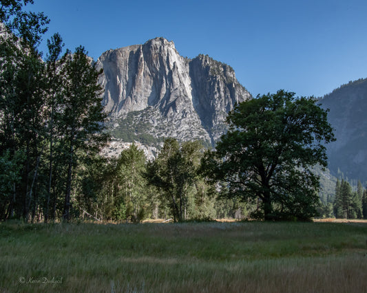 Yosemite Mountain Shade