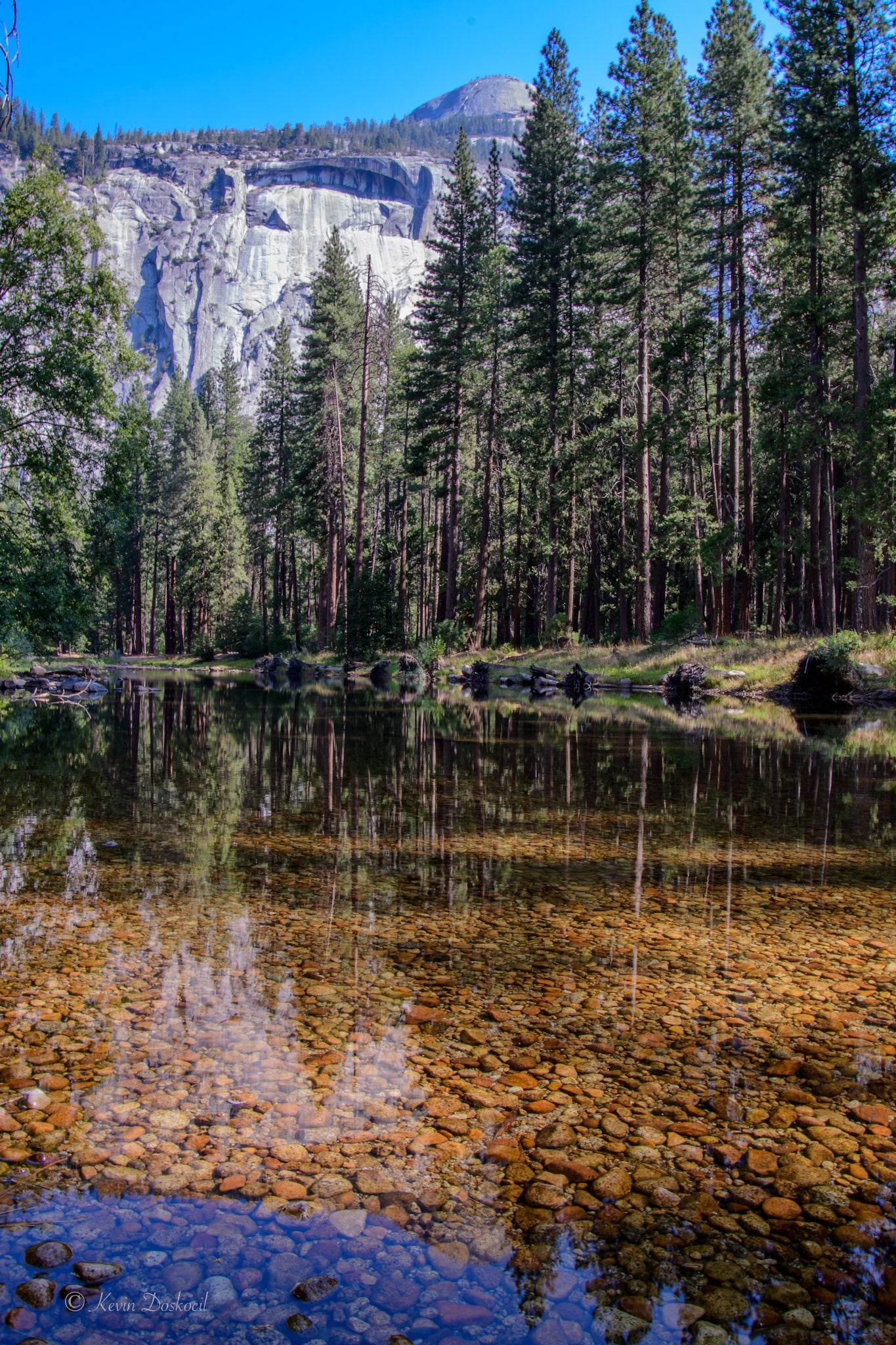 Yosemite River Scene