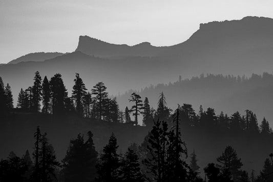 Forest Fire Moving In Select
