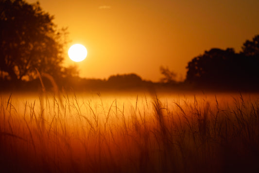 Thick Fog Sunrise Soft