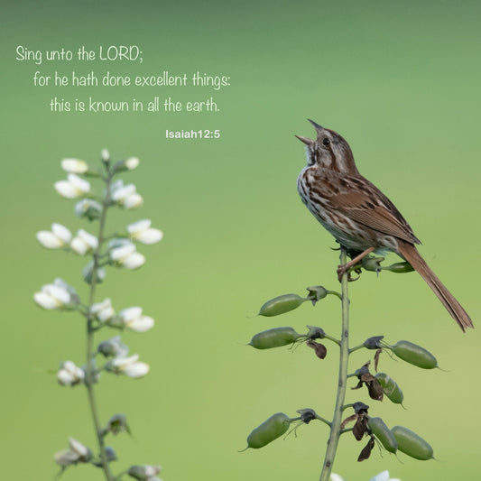 Free Scripture On Image Download