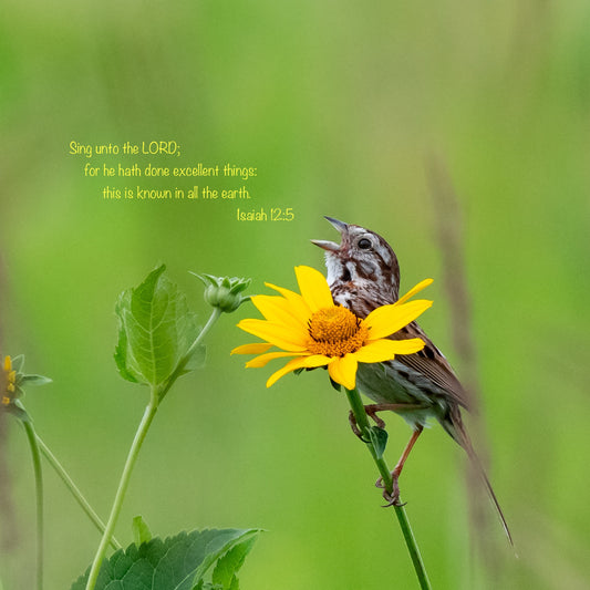 Free Scripture On Image Download