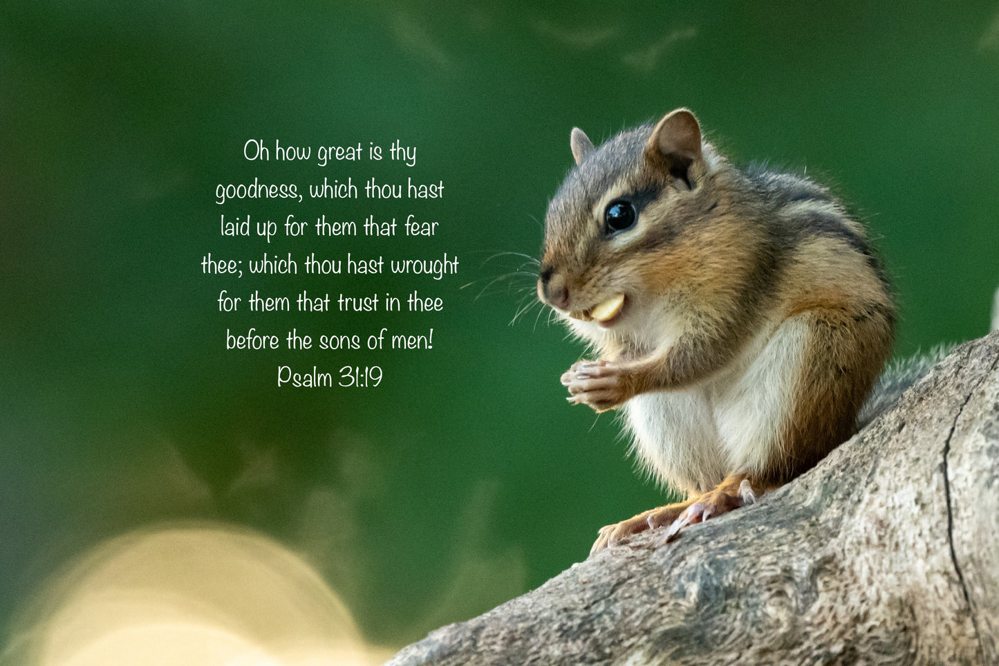 Free Scripture On Image Download
