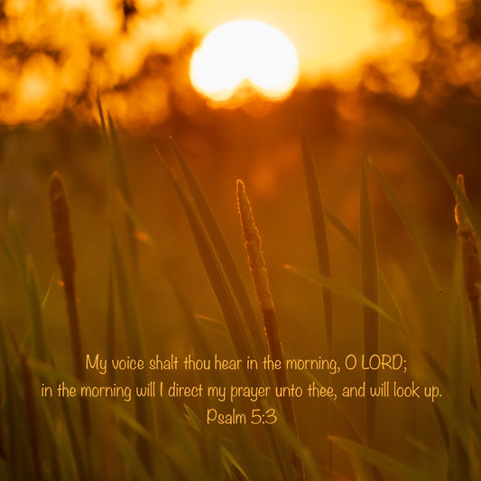 Free Scripture On Image Download