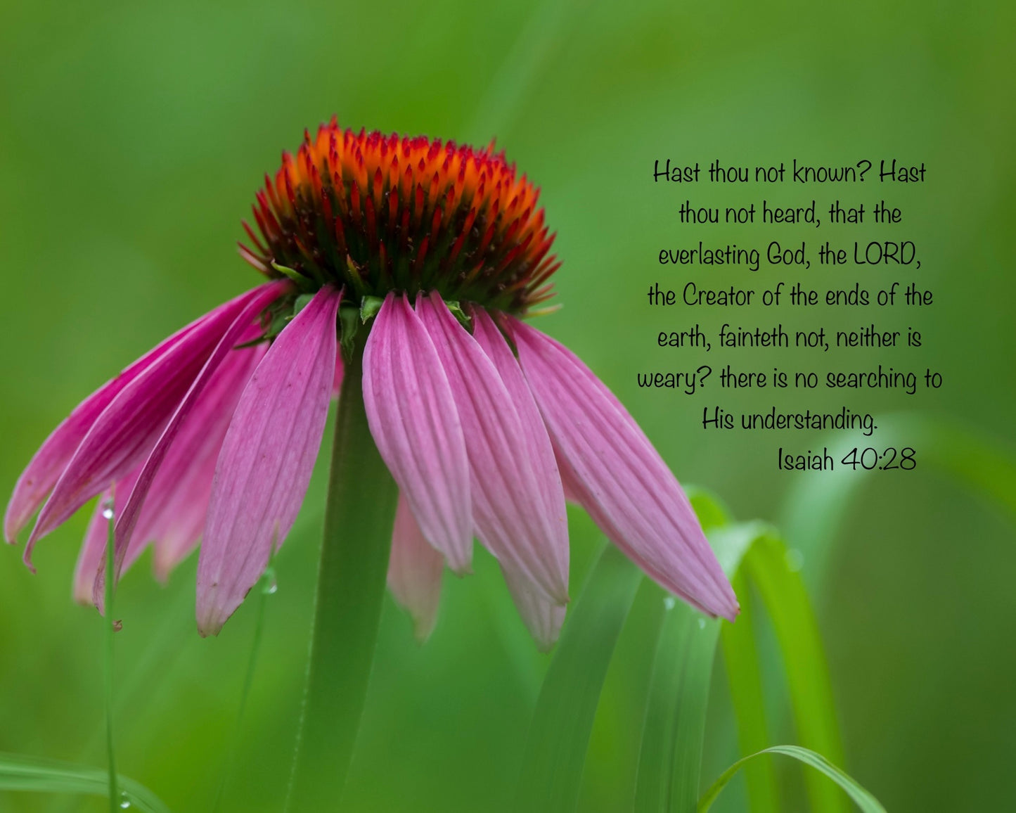 Free Scripture On Image Download
