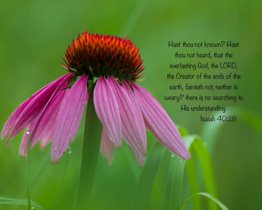 Free Scripture On Image Download
