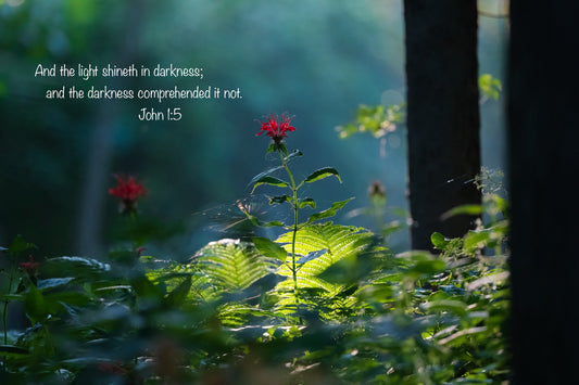 Free Scripture On Image Download