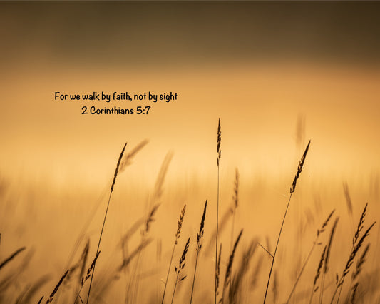 Free Scripture on Image Download
