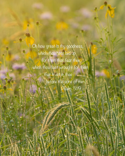 Field of wildflowers with a Bible verse overlay