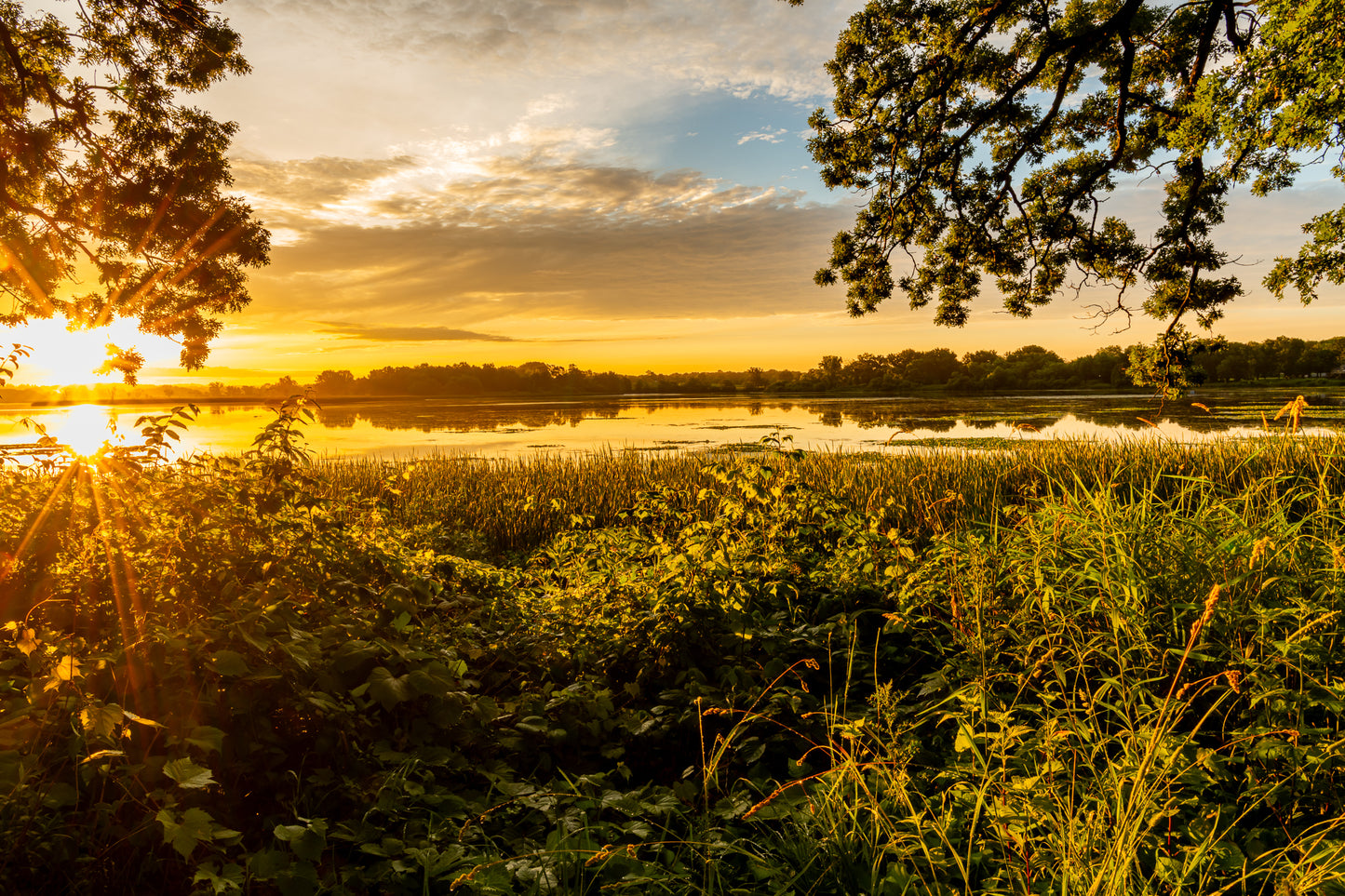 Yahara Summer Sunrise Premium
