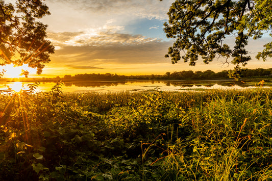 Yahara Summer Sunrise Premium