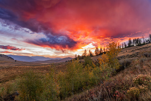 Yellowstone Canvas Wall Art Sale
